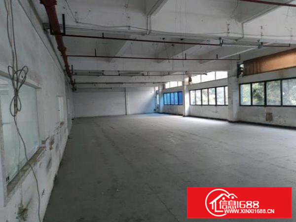 横沥镇独门独院标准厂房，厂房4600平方，宿舍1600平方