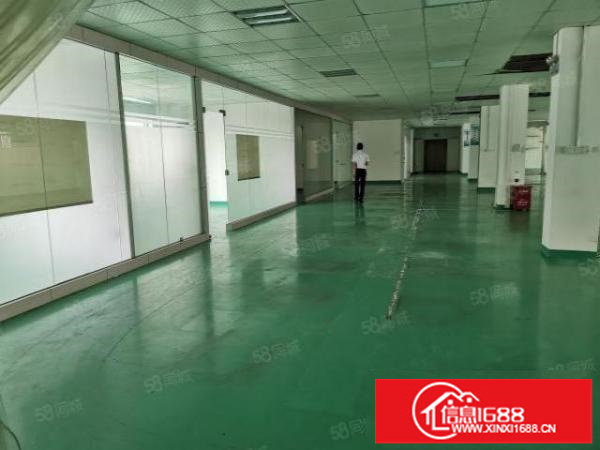 龙华大浪浪口厂房1100平方低价出租