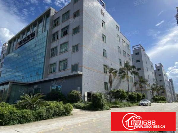 出租|观澜新田清平高速附近2万平厂房出租200平方起租