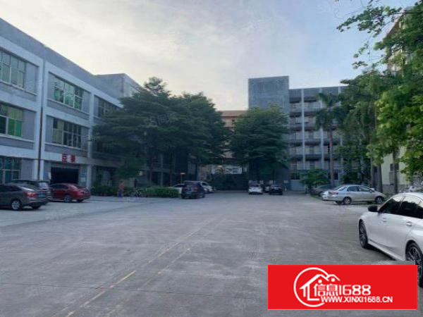 新出万江简沙洲正规园区标准一楼1200平方急租（可分租）