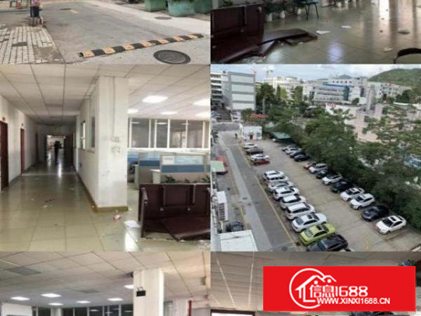 横岗六约红本厂房出租