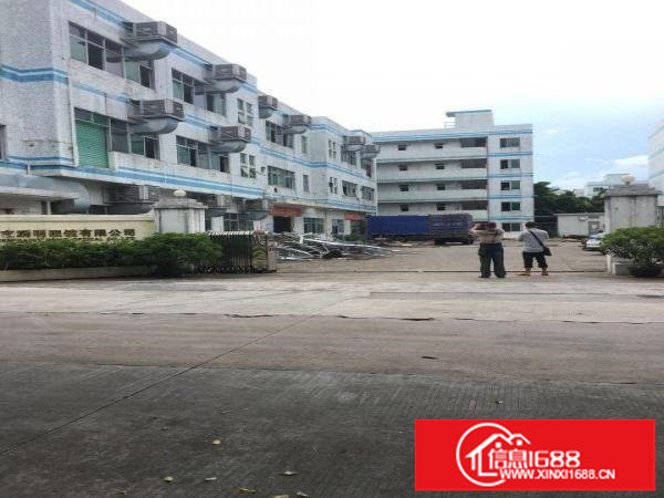 横岗大康独院5000平方可分组带办公室装修地坪漆