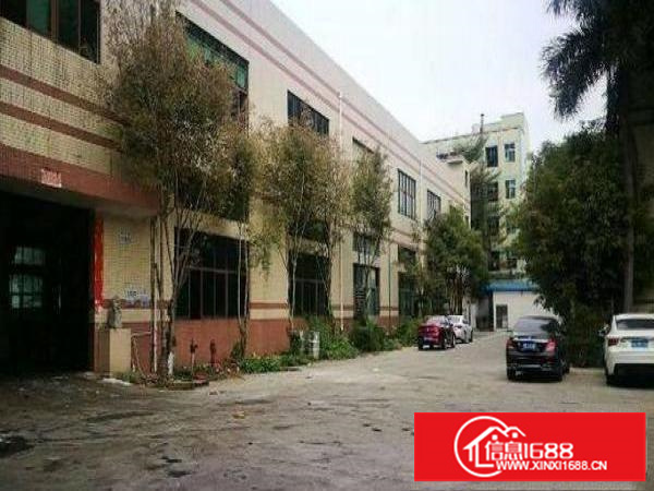 平湖新出独院一楼550平方带现成装修厂房整租