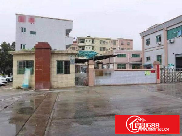 桥头镇原房东标准独院厂房6900平