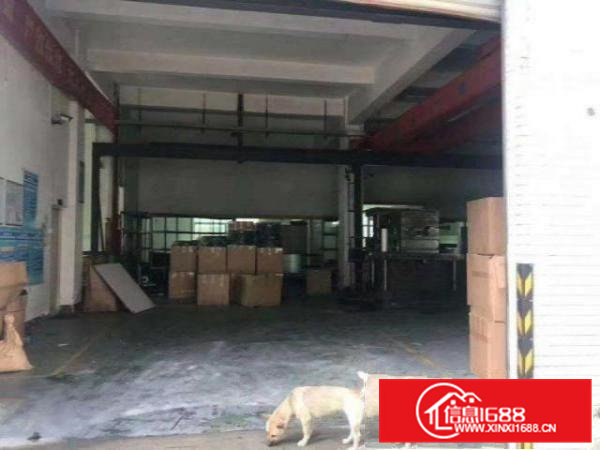 东坑村新空出标准一楼1600方，高度7米带航车，可进大车