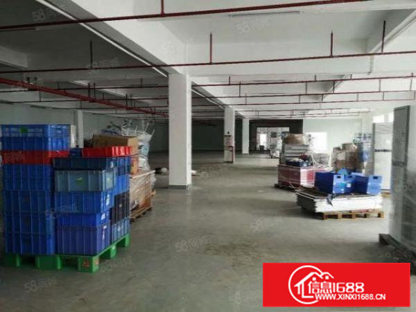 （电池厂房）清溪镇独院厂房4层10000平出租可分租