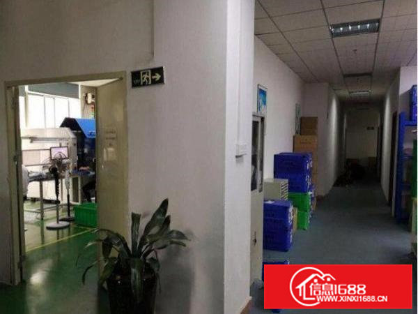 常平塘角新出原房东整层500平