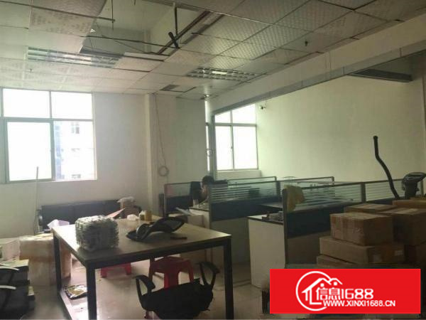 观澜泗黎路边新出300平方，水电齐全，办公室装修