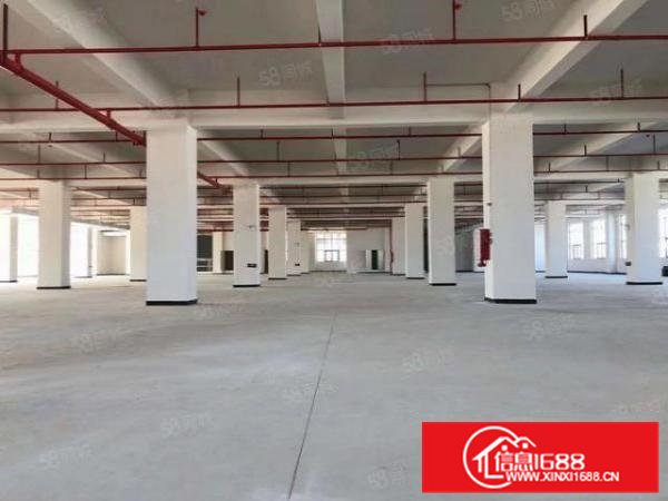 带环评！大岭山镇自用标准环保厂房分租带电梯形象超好位置佳