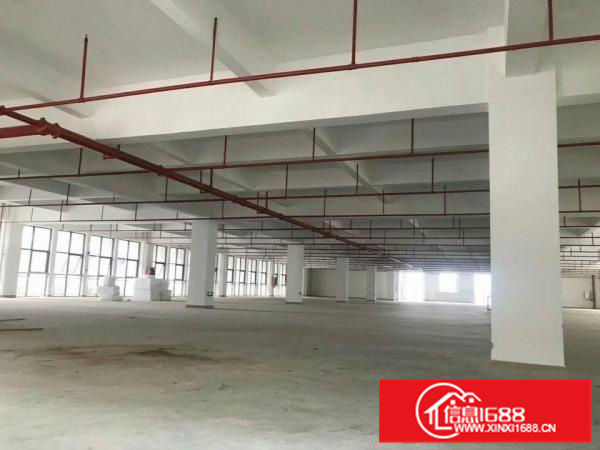 惠阳新圩新出标准独院厂房8000平米平价出租