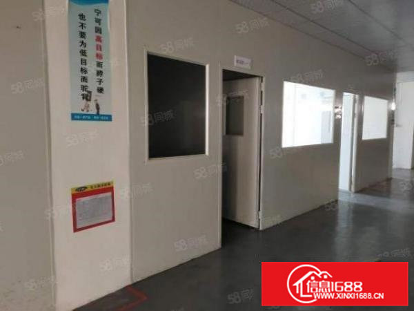 大岭山原房东550平小面积无尘车间独栋独院标准厂房出租