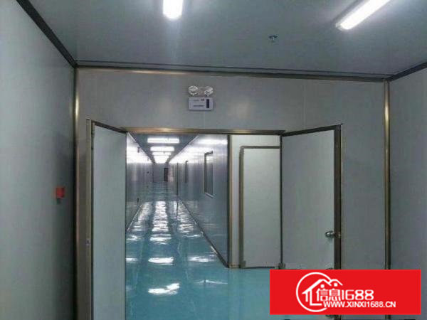 新出原房东8000平米独院带豪装厂房出租