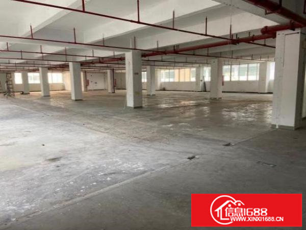 龙岗坪地中学附近独院5000平方厂房出租原房东