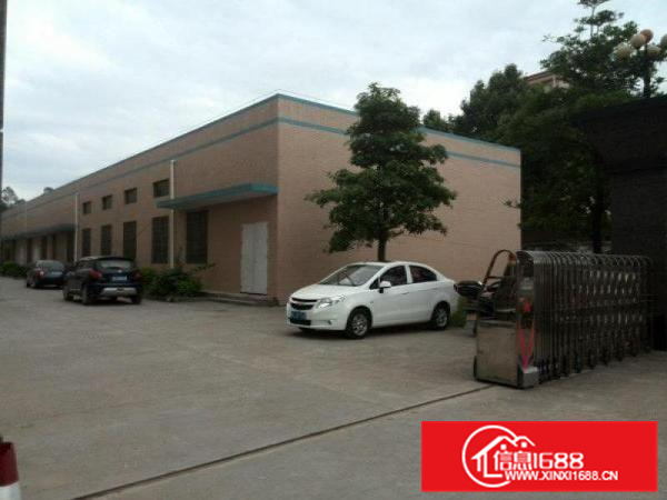 陈江水围附近单一层钢构厂房800平出租