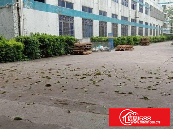 塘厦镇大坪新出标准楼上750平，现成装修水电齐全价格美丽