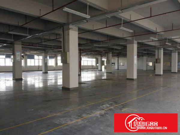 福龙路出口新出200平300平5000平厂房仓库招租