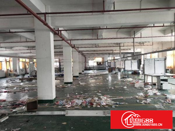 凤岗成熟工业区楼上厂房出租1600平方，一整层现成豪华装修