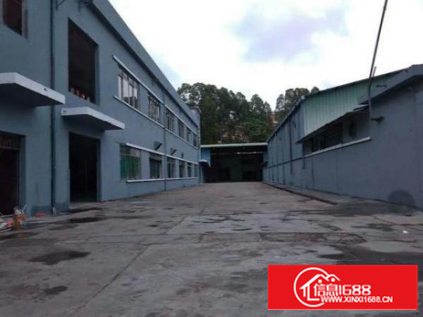 高埗新出1000平米钢构单一层厂房;交通便利适合展柜、家具、