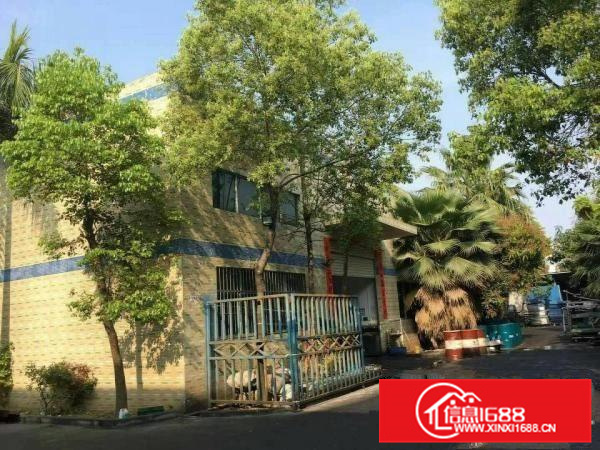 惠阳秋长维布新出原房东独栋钢构4300平米带办公室