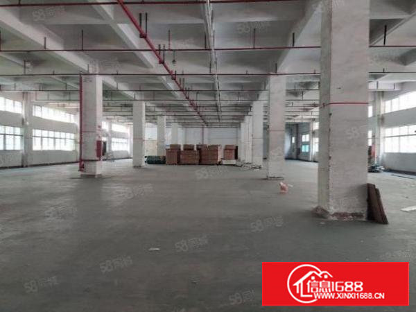 塘厦原房东大型园区一楼整层2500平方出租，实用率8成