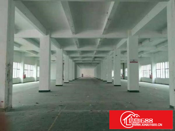 龙华大浪物业直租厂房出租一楼厂房出租4000平，可分租
