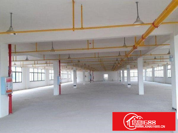 清溪三中高端大气楼上标准厂房980平形象好