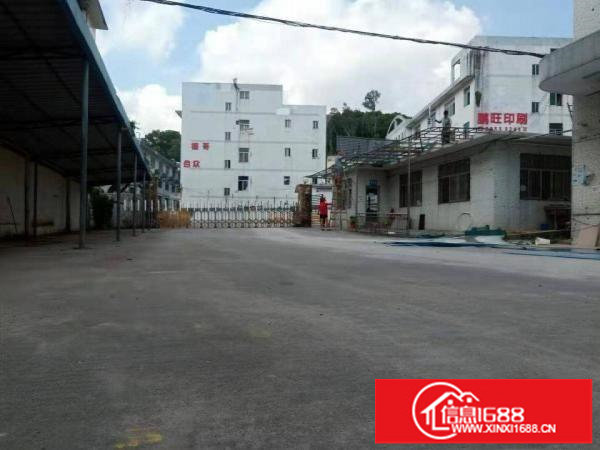 原房东横岗红本独院厂房招租单层4100平方大小分租