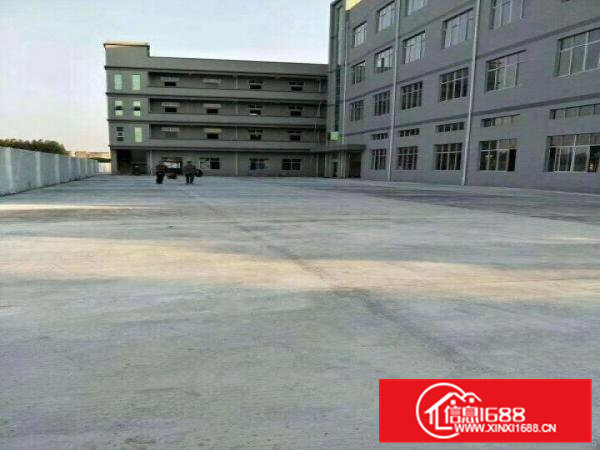 企石镇新出经典独院厂房5000平方