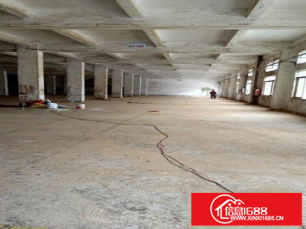 龙岗同乐新出16000独院厂房