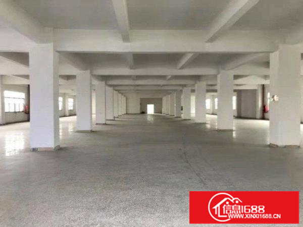 布吉沙湾仓库一楼楼上200平300平500平800平大小出租