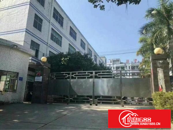 坪山新区原房东独院厂房招租，无公摊