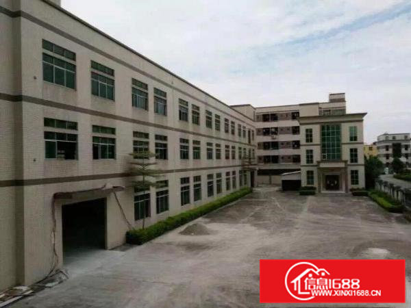 清溪三中原房东独院厂房5500平方低价急租