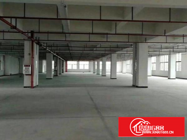 万江独院标准1-3层厂房5000平方米出租现成宿舍办公室