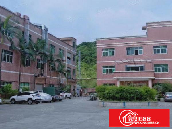 花园式独院厂房分租标准厂房一层750平米带现成装修好水电办公