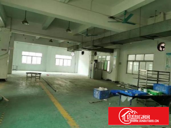 万江街道石美路段厂房