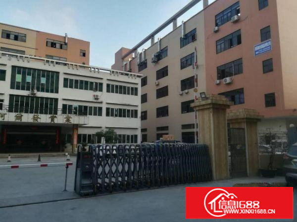 出租坪山新区宝山第三工业区700平米6米高1楼