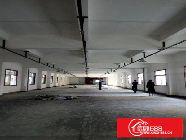 24小时专人管理带电梯整层出租