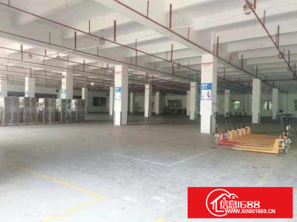 超大空地带卸货平台凤岗金凤凰快递中转物流仓库独栋厂房出租