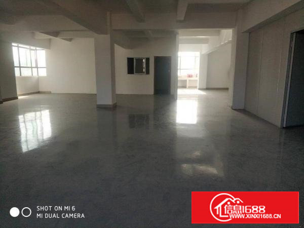 口罩长安沙头金沙花园旁300平厂房出租仓库加工