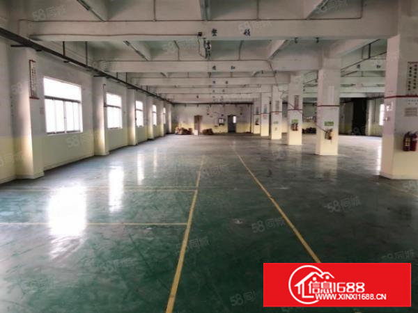 塘厦石鼓新出3600平标准独院,现成装修行车,手慢无