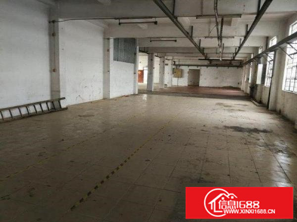 （原房东）平湖鹅公岭工业区独院厂房3层5000平出租