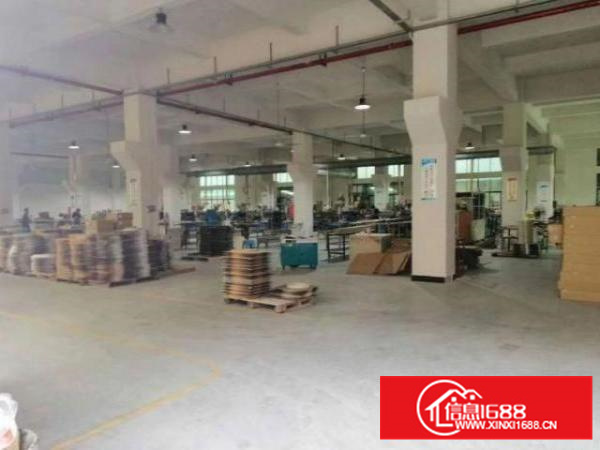 石排李家坊标准厂房一楼700平方分租，带牛角现成装修