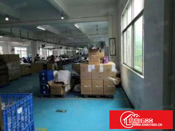 坪山区石井独院厂房7500平出租，可分租，带装修