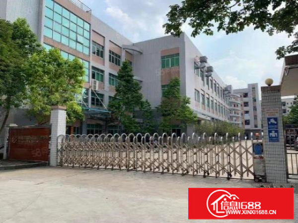 茶山原房东带红本现成装修大型工业园区独院厂房招租