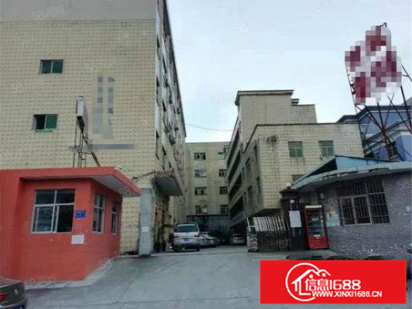 黄江临深标准一楼500方带航车，原房东无公摊，高度6米