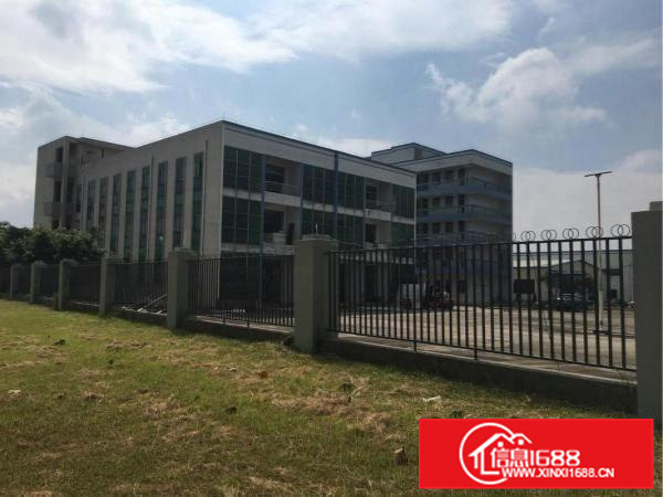 佛山高新区广云路边超低价带精装修办公室独院