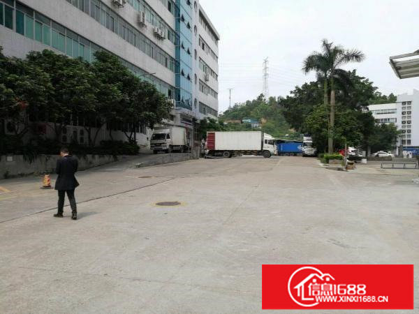 坂田上雪科技园原房东楼上2000平带装修直租，可分租