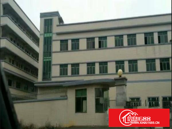 常平环城路旁新出独院三层厂房2600平方