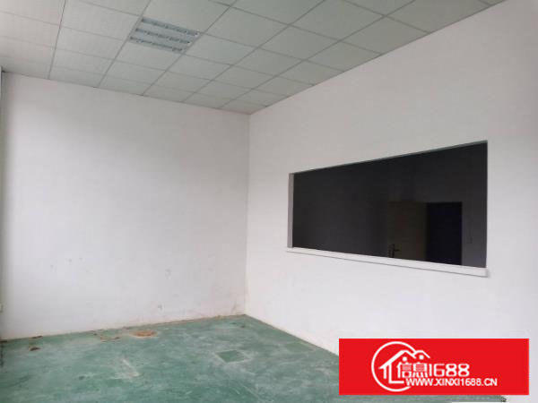 塘厦莆心湖现有1300平钢构厂房出租，无公摊价格美丽！