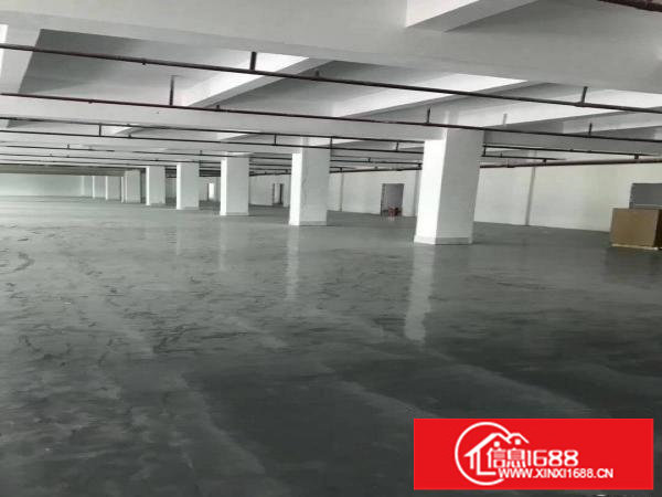 百鸽笼可园厂房500平米